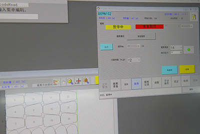 Fabric Cutting and Sewing Capability